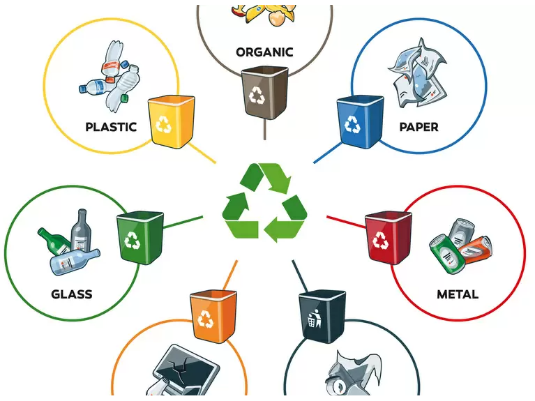 智能废物管理指南 - 智能废品回收机器项目怎么样