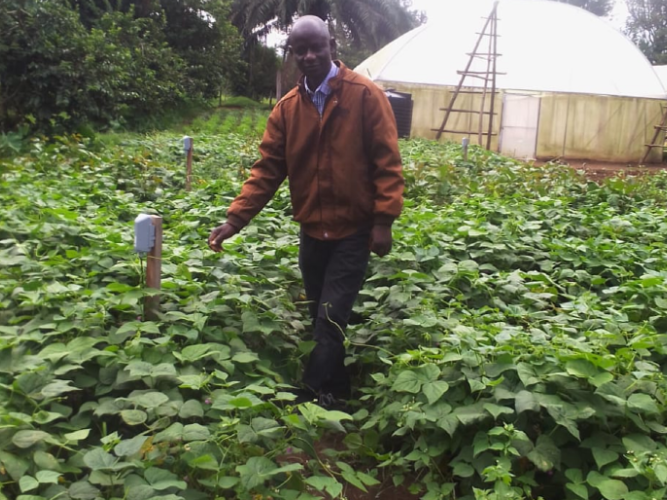 在肯尼亚实施精准智慧农业物联网项目